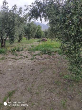 Terreno en Pago de la Cruz s/n