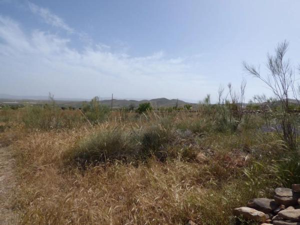 Terreno en Uleila del Campo