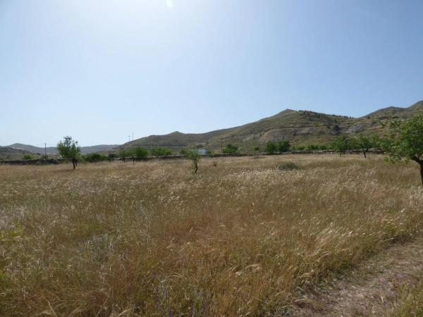 Terreno en Uleila del Campo