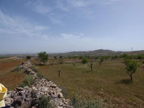 Terreno en Uleila del Campo