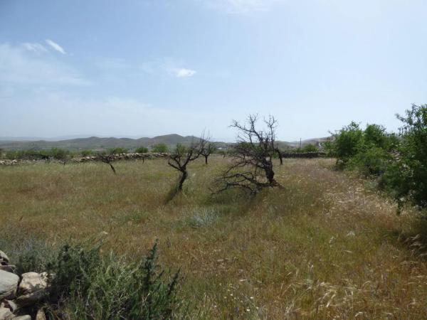 Terreno en Uleila del Campo