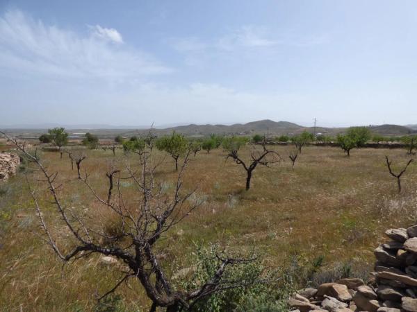 Terreno en Uleila del Campo