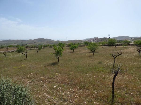 Terreno en Uleila del Campo
