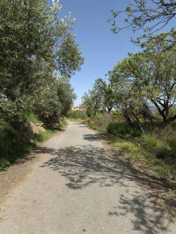Terreno en camino Moladi
