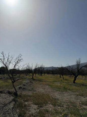 Terreno en camino Moladi