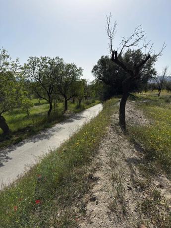 Terreno en camino Moladi