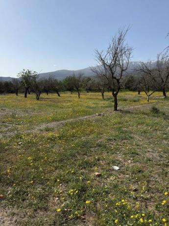 Terreno en camino Moladi