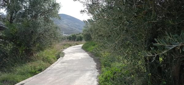 Terreno en camino del Juaez s/n