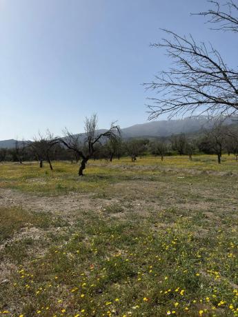 Terreno en camino Moladi
