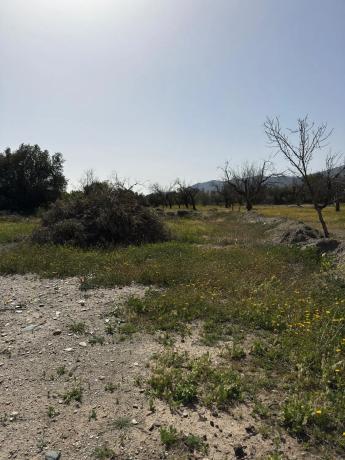 Terreno en camino Moladi