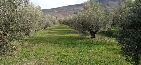 Terreno en camino del Juaez s/n