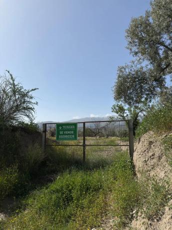 Terreno en camino Moladi