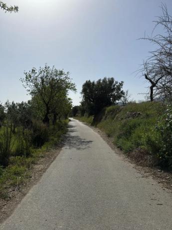 Terreno en camino Moladi