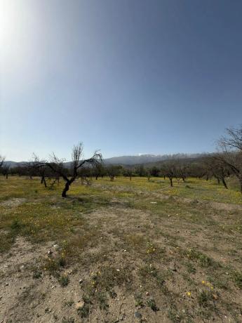 Terreno en camino Moladi