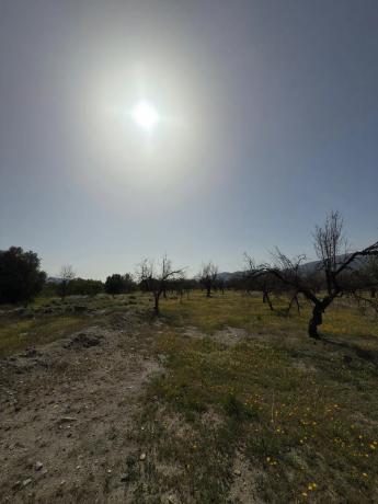 Terreno en camino Moladi