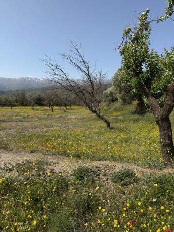 Terreno en camino Moladi