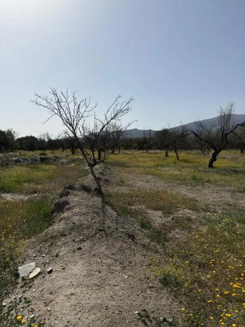 Terreno en camino Moladi
