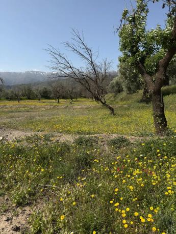 Terreno en camino Moladi