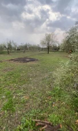 Terreno en carretera Estacion
