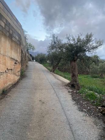 Terreno en carretera Estacion
