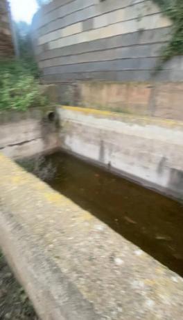 Terreno en carretera Estacion