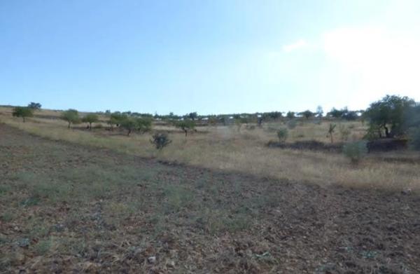 Terreno en camino de Senes