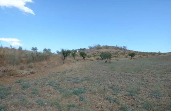 Terreno en camino de Senes