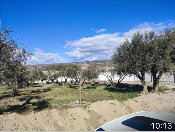 Terreno en carretera de la Estacion s/n