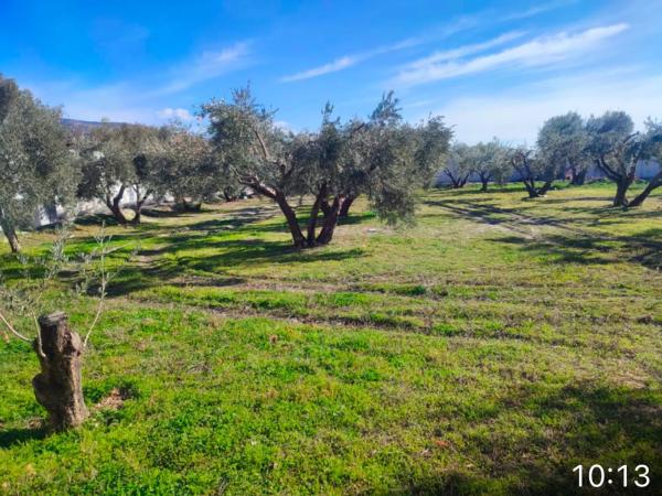 Terreno en carretera de la Estacion s/n