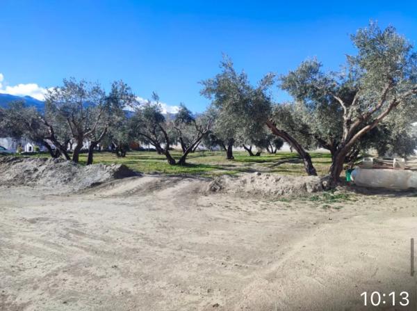 Terreno en carretera de la Estacion s/n