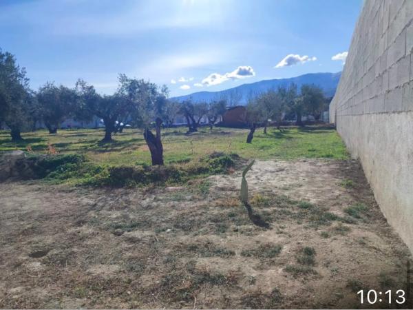 Terreno en carretera de la Estacion s/n