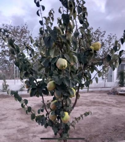 Terreno en carretera de la Estacion s/n