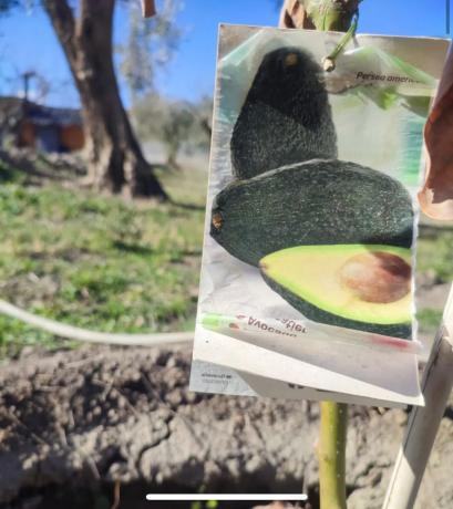 Terreno en carretera de la Estacion s/n