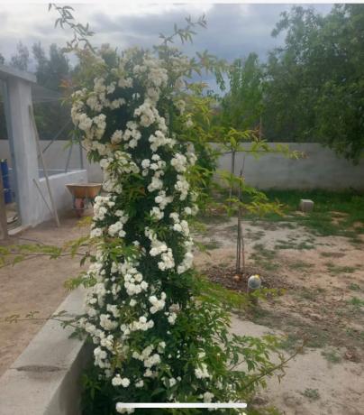 Terreno en carretera de la Estacion s/n
