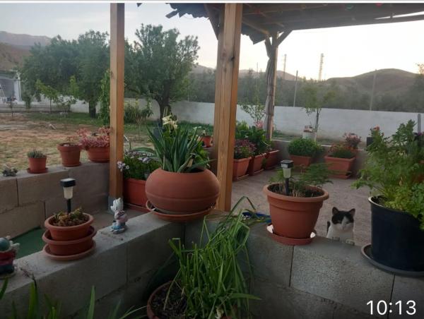 Terreno en carretera de la Estacion s/n