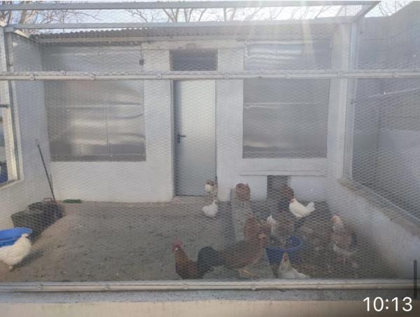 Terreno en carretera de la Estacion s/n