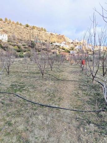 Terreno en camino Huertas, 13