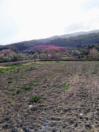 Terreno en calle Albaicín, 3