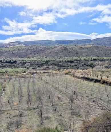 Terreno en camino Huertas, 13