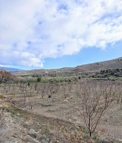 Terreno en camino Huertas, 13