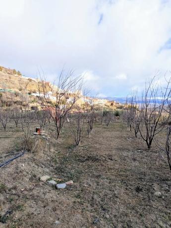 Terreno en camino Huertas, 13