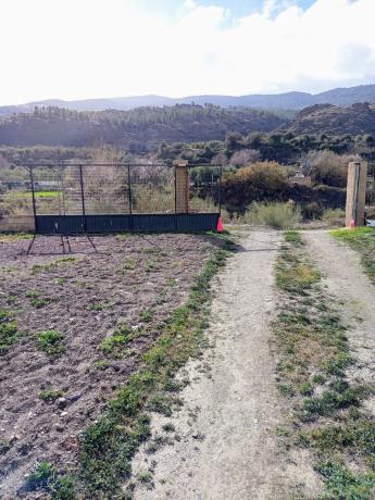 Terreno en calle Albaicín, 3