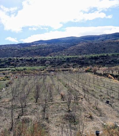 Terreno en camino Huertas, 13
