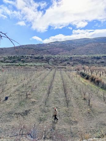 Terreno en camino Huertas, 13