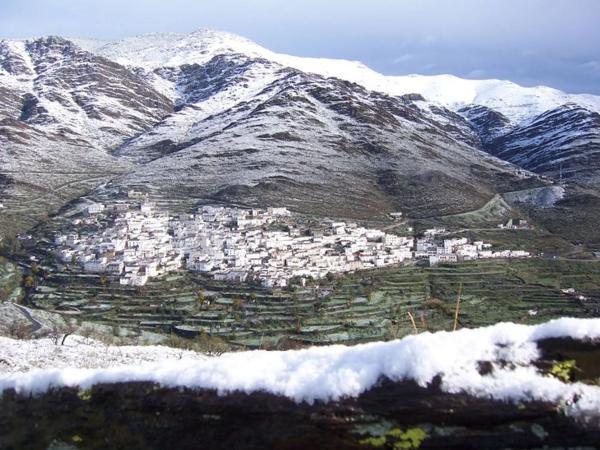 Terreno en calle Alamillos, 5