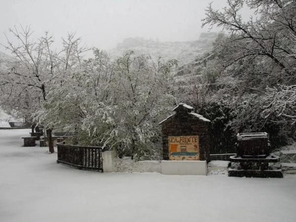 Terreno en calle Alamillos, 5
