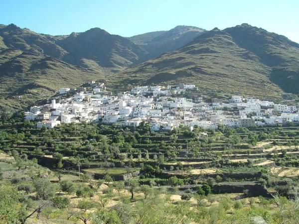 Terreno en calle Alamillos, 5