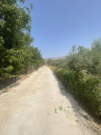 Terreno en Carrertera Estacion, 10