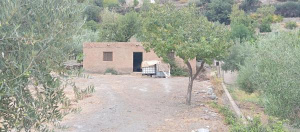 Terreno en poligono 21 Parcela 71, 71