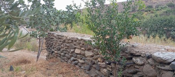 Terreno en poligono 21 Parcela 71, 71